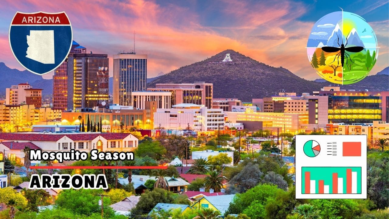 Mosquitoes in Arizona Arizona Mosquito Season 2026 Start, Peak & Climate Trends