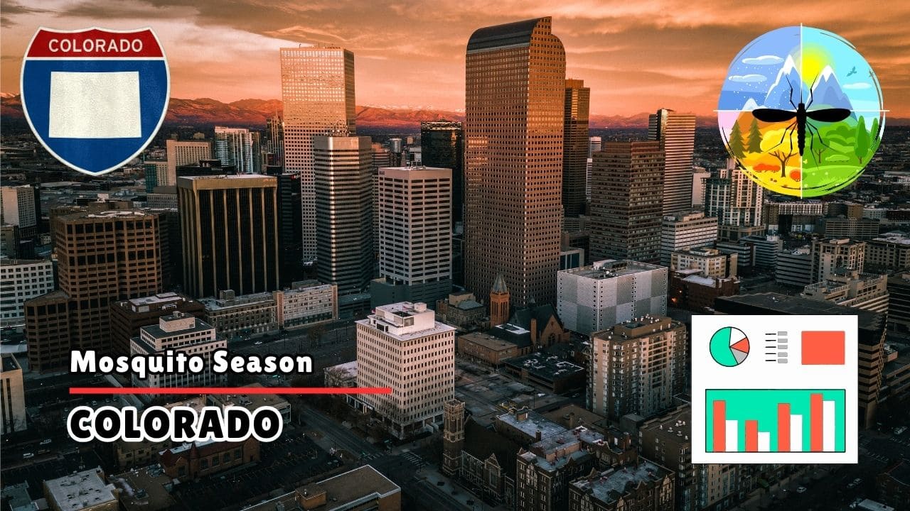Mosquitoes in Colorado - Colorado Mosquito Season Start, Peak & Climate Trends