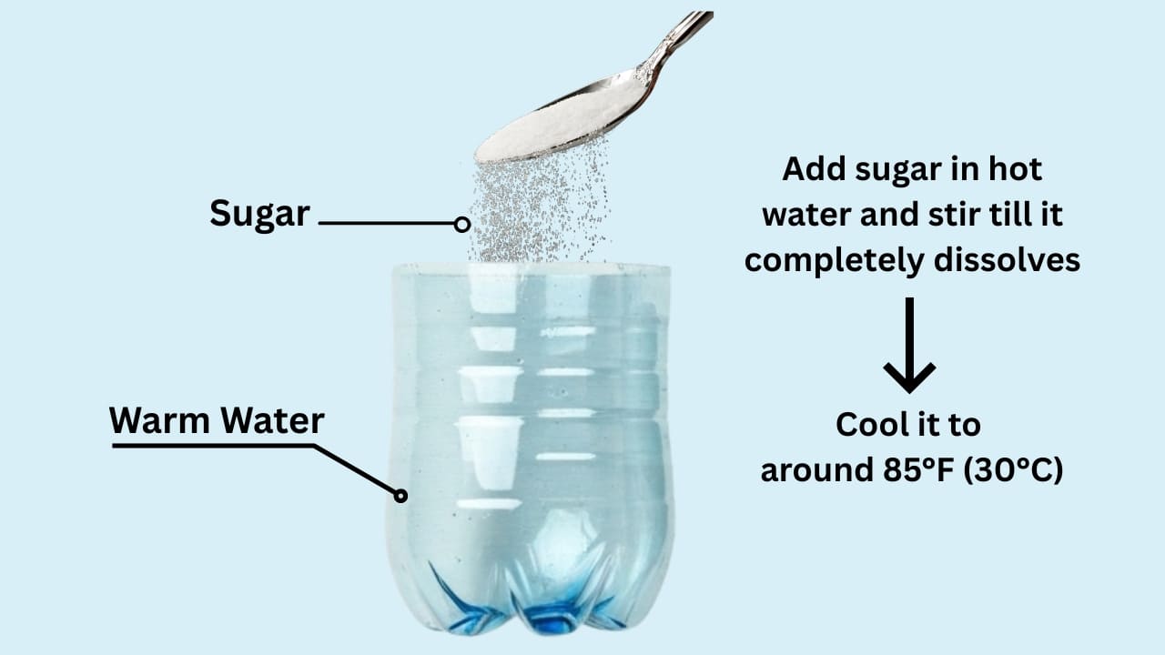 Prepare the Sugar-Water Solution