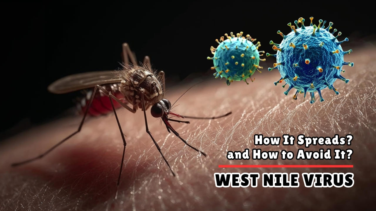 West Nile Virus How It Spreads, Who Is Most at Risk, and How to Avoid It