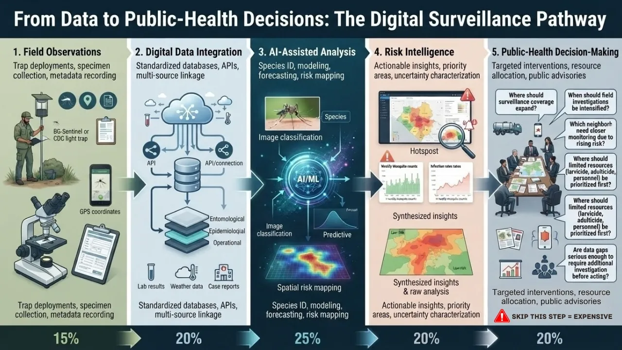 Digital Mosquito Surveillance Pathway From Data to Public-Health Decisions