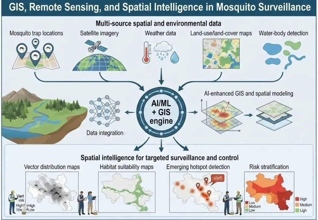 GIS, Remote Sensing, and Spatial Intelligence in Vector Mapping
